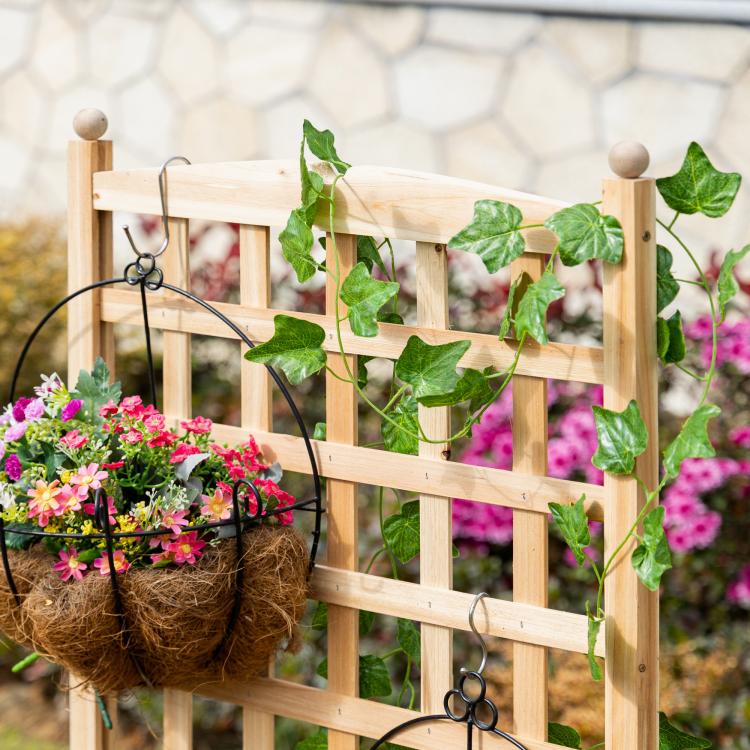 Wooden raised garden bed with trellis lattice, with climbing vine plants growing