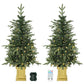Two small prelit Christmas trees with warm and cool lights and wooden-style display bases.