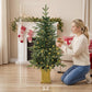 Two prelit artificial Christmas trees with dual-color lights, in square golden bases.