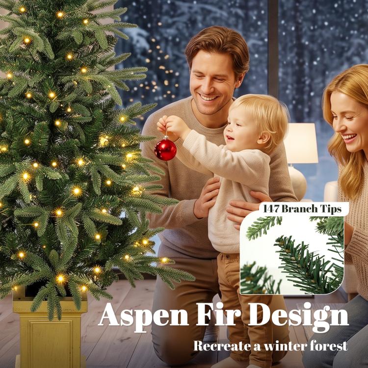Family with a prelit Christmas tree featuring warm glowing lights and green needles.