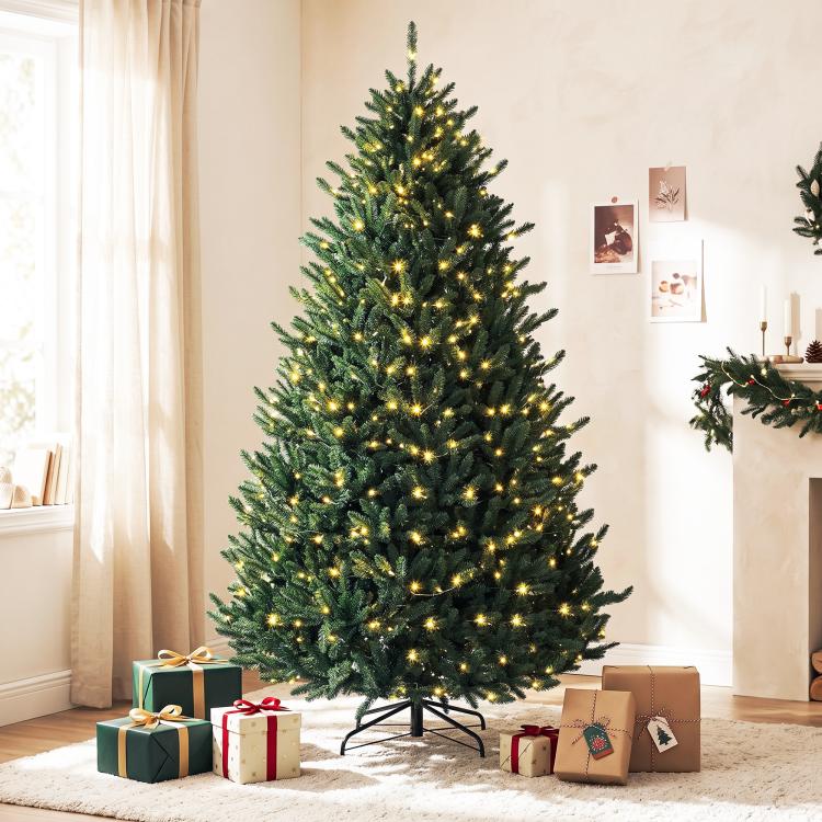 Prelit Colorado blue spruce Christmas tree with warm white lights and wrapped gifts at base