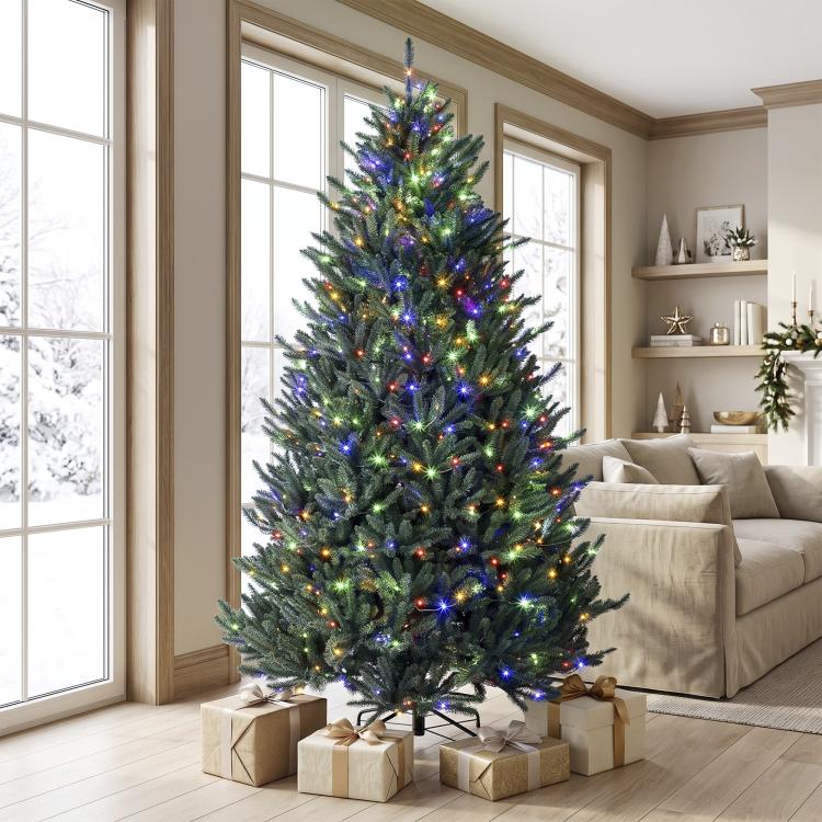 Prelit Colorado blue spruce Christmas tree with multicolored LED lights and wrapped gifts