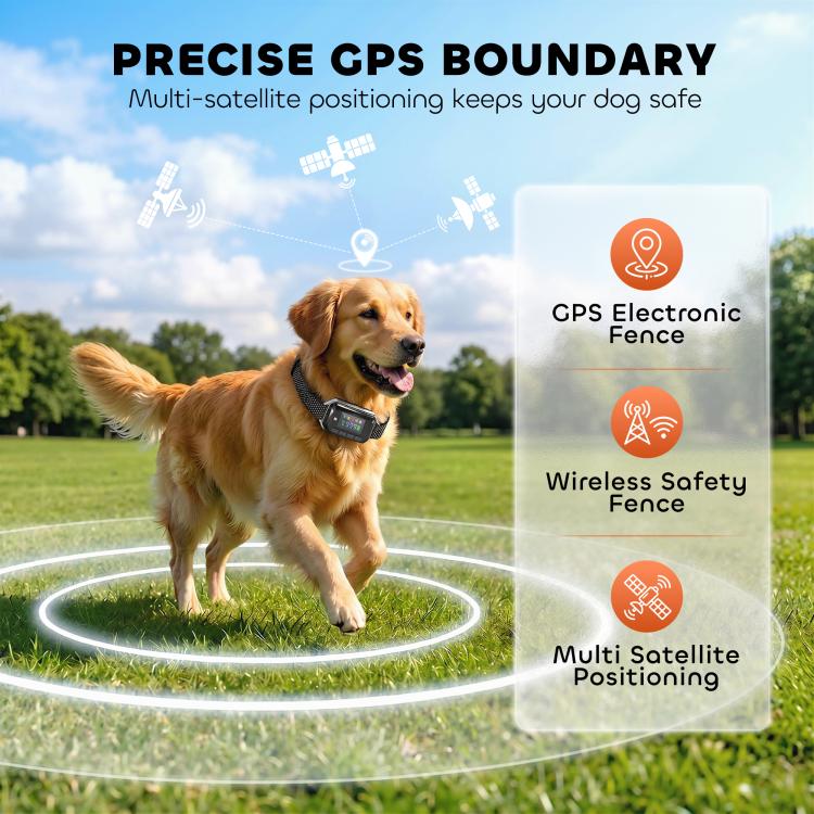 Golden retriever wearing a GPS boundary training collar with patterned strap and screen