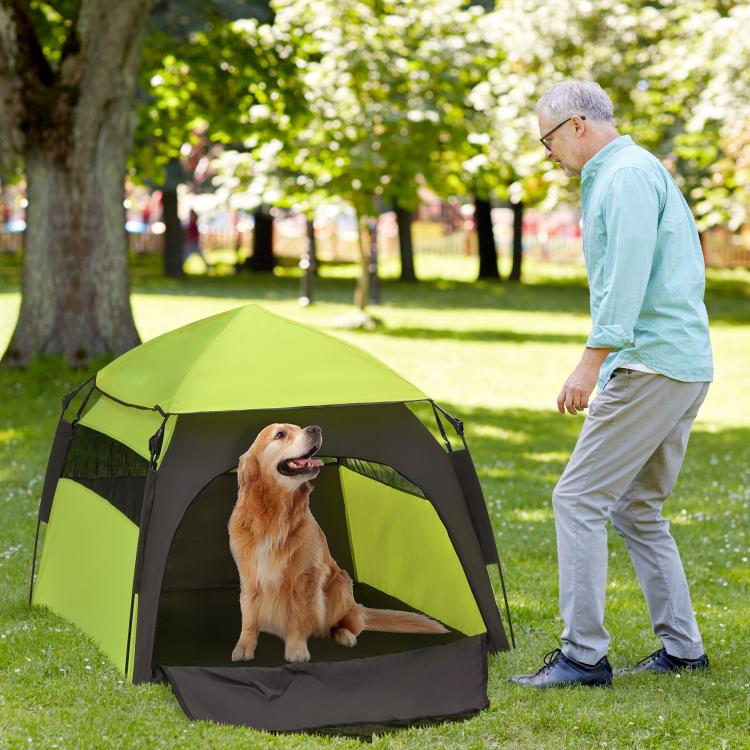 Green and black dog tent with front mesh door, dog inside, ready for outdoor use