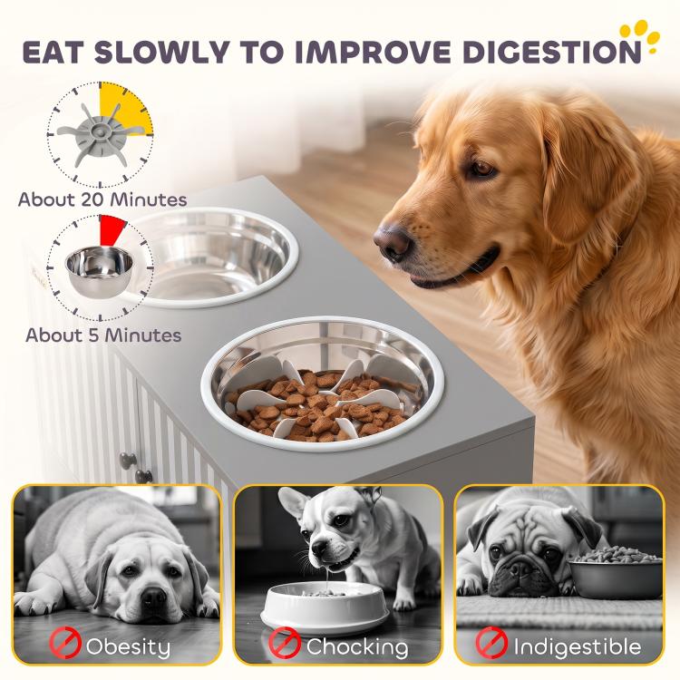 Golden dog near raised stainless steel bowl on gray slow-feeding cabinet