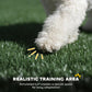 Artificial grass surface for dog training pad, close-up of paw on turf