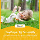 Rabbit hutch promotional scene with a white bunny and child in outdoor grass