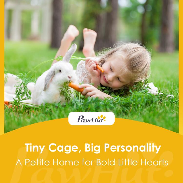 Rabbit hutch promotional scene with a white bunny and child in outdoor grass
