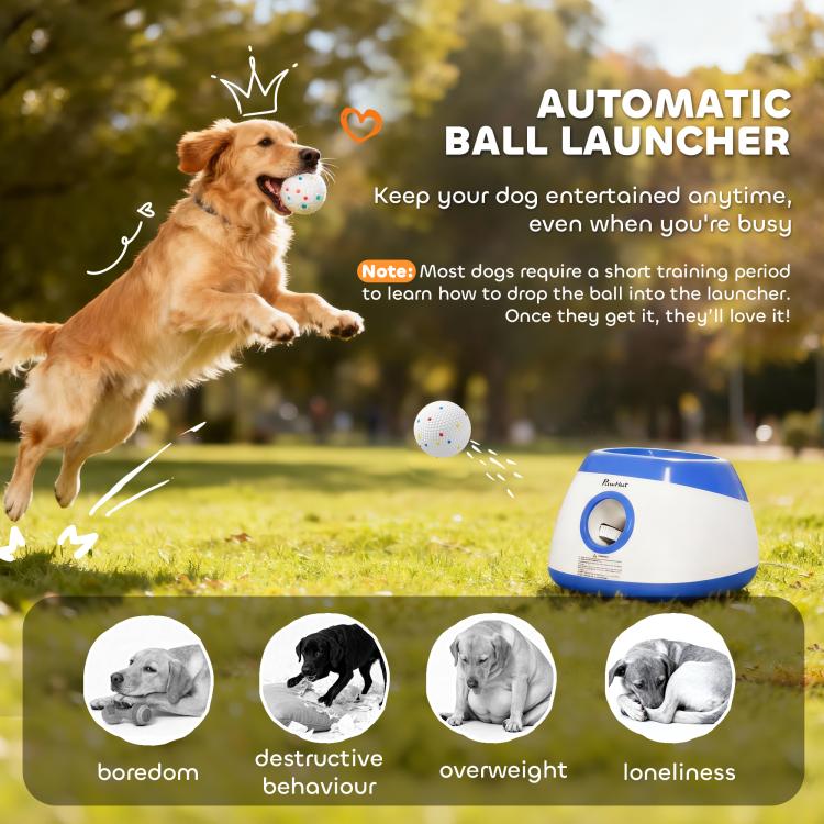 Blue and white automatic dog ball launcher with ball in front of jumping dog