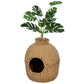 Rattan-style cat litter box hideaway with faux plant and large round front doorway