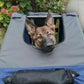 Blue and grey pet bike trailer with mesh front opening, dog head inside