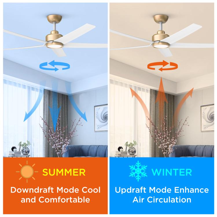 Ceiling fan with light and reversible airflow, brushed gold motor with white five blades