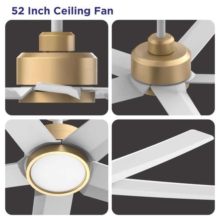Ceiling fan with light, brushed gold motor and white five blades, close-up details