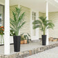 Two black tall woven planters with potted plants on an outdoor patio