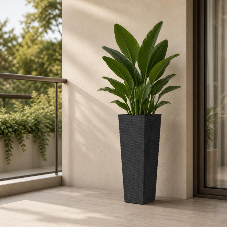 Tall black plastic planter pot with vertical texture, holding green leafy plant
