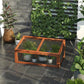 Mini wooden cold frame greenhouse with open lid, clear panels, and plants on deck