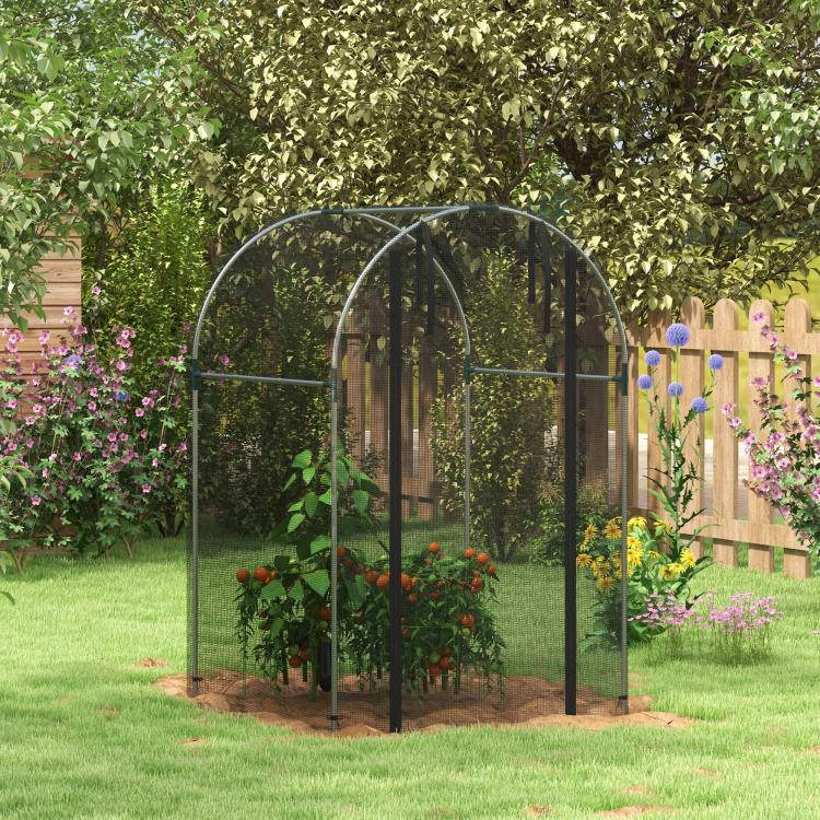 Black-framed galvanized plant protection tent over a raised garden bed with mesh walls
