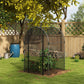 Galvanized steel plant protection tent with black frame and mesh panels in a garden bed