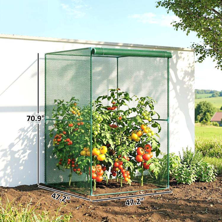 Dark green mesh walk-in plant protector cage with roll-up top opening