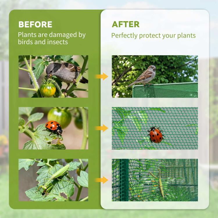 Dark green mesh plant protection cage panels with protected plants shown