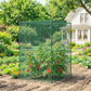 Dark green walk-in mesh plant protector cage with fruiting plants inside
