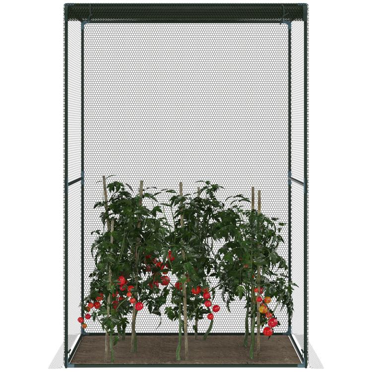 Dark green mesh walk-in plant protector cage with potted tomato plants