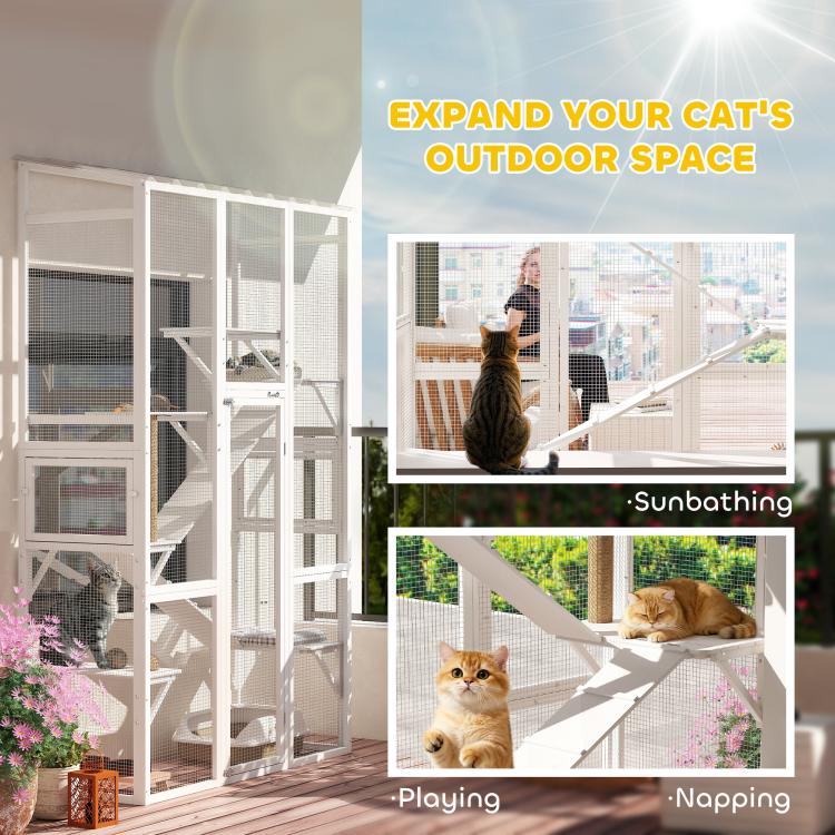 Expandable outdoor cat enclosure with multi-level ramps and platforms inside the mesh