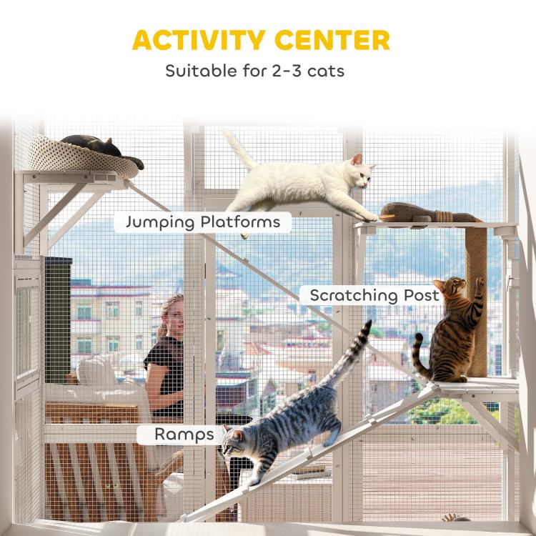 Cat activity enclosure with jumping platforms, ramps, and a scratching post inside