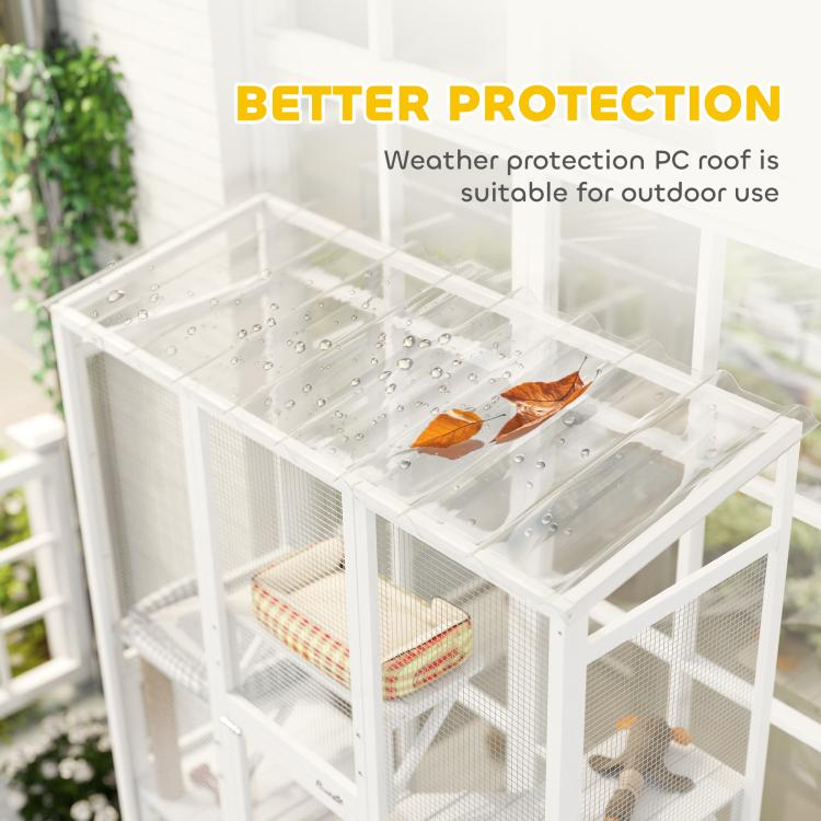 Outdoor cat enclosure with clear PC roof panels and layered ramps and bedding areas