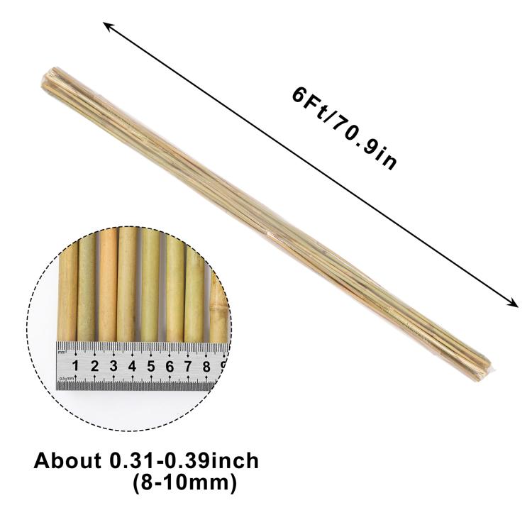 Natural bamboo plant stake, 6 ft long with 8–10 mm diameter, slim pole