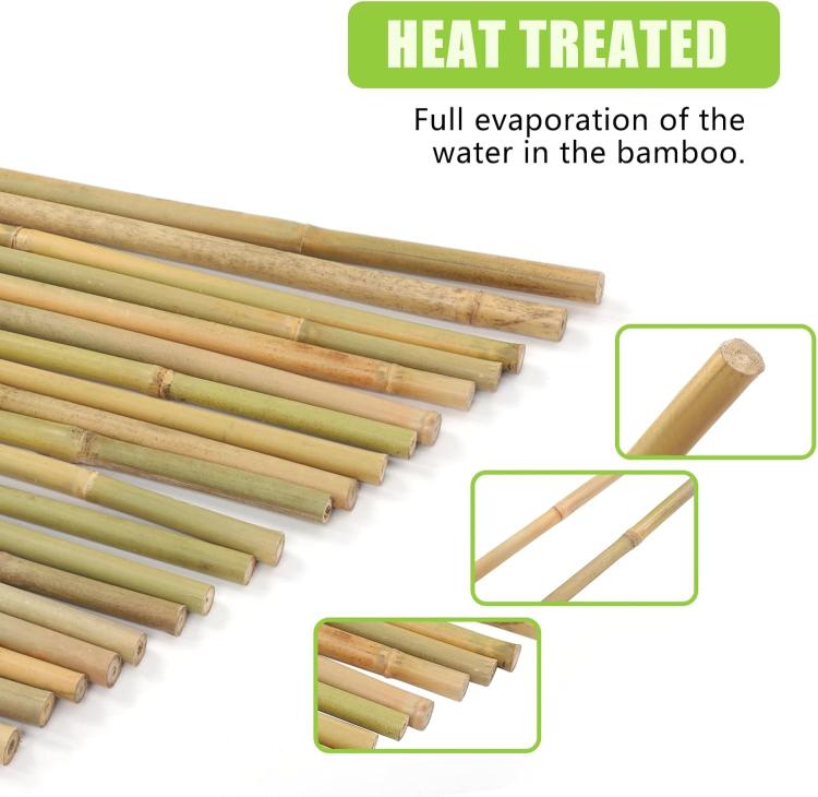 Natural bamboo plant stakes set with smooth poles and flat cut tips