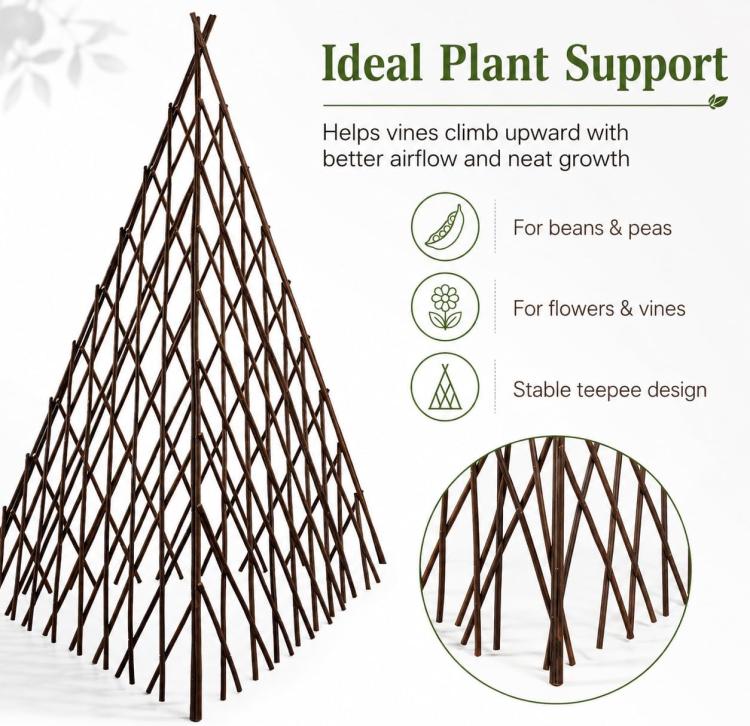 Dark brown teepee trellis with dense lattice and pointed top for climbing plants