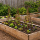 Three dark brown teepee trellis frames in raised garden beds with climbing vines