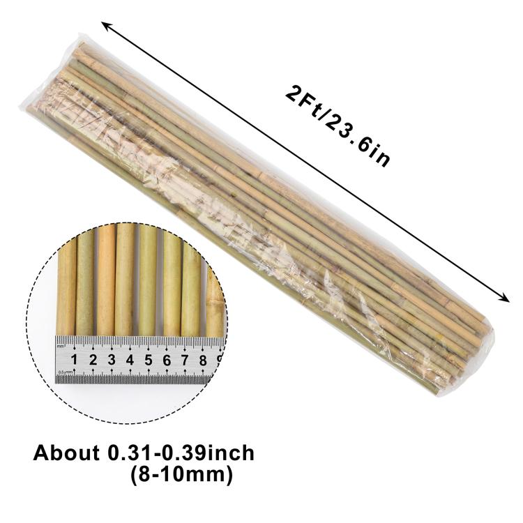 Natural bamboo stakes bundle with about 8–10mm diameter poles