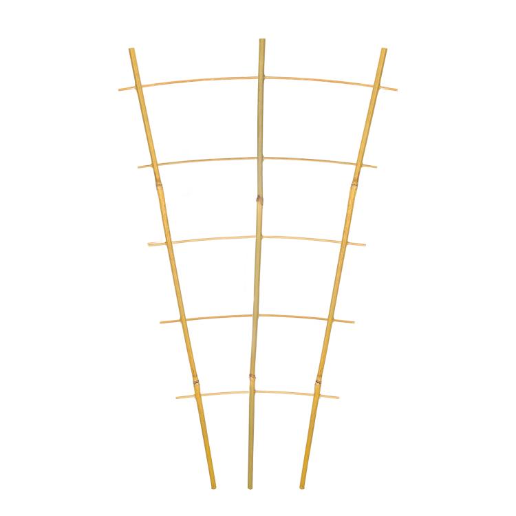 Natural bamboo garden trellis with arched ladder frame for climbing plants