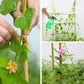 Natural bamboo plant stake set in soil, supporting climbing vines