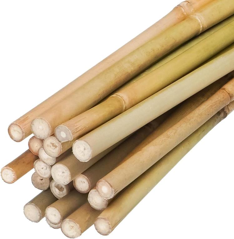 Natural bamboo plant stakes with rounded cut ends, pole bundle for supporting climbing plants.