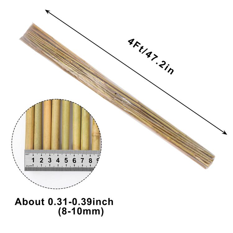 Bamboo stake size view: about 4 ft 7 in long, 8–10 mm diameter poles.