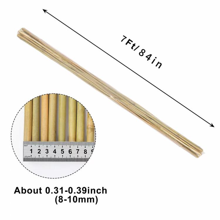 Natural bamboo stake pole set, light tan smooth sticks with rounded cut ends