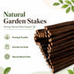 Bundle of natural brown wood garden stakes for DIY plant trellis support