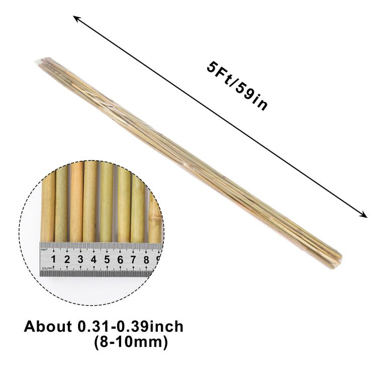 Natural bamboo stake pole, slender light tan bamboo with rounded cut tip