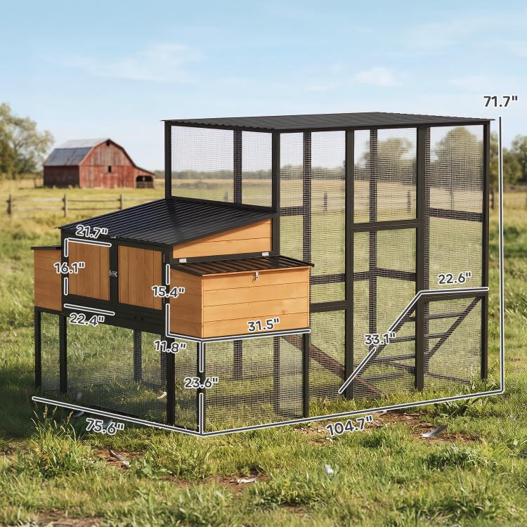 Large outdoor chicken coop with wooden nesting boxes, wire mesh run, and black roof
