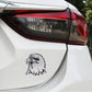 CAR2555.jpg@756efbb06cbe1ab8b37cf89c5e3beb62