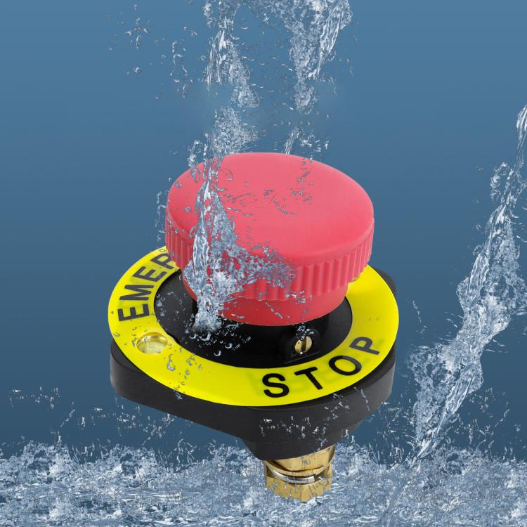 CAR4722_5.jpg@3d8fef648a28718a703ed5a83f9c049a