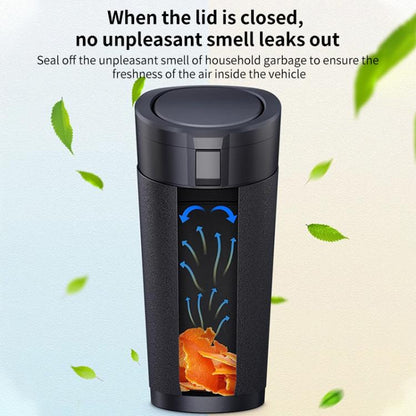 CAR4776_B6.jpg@11754823d3a810f04c1a94d385f5b13f