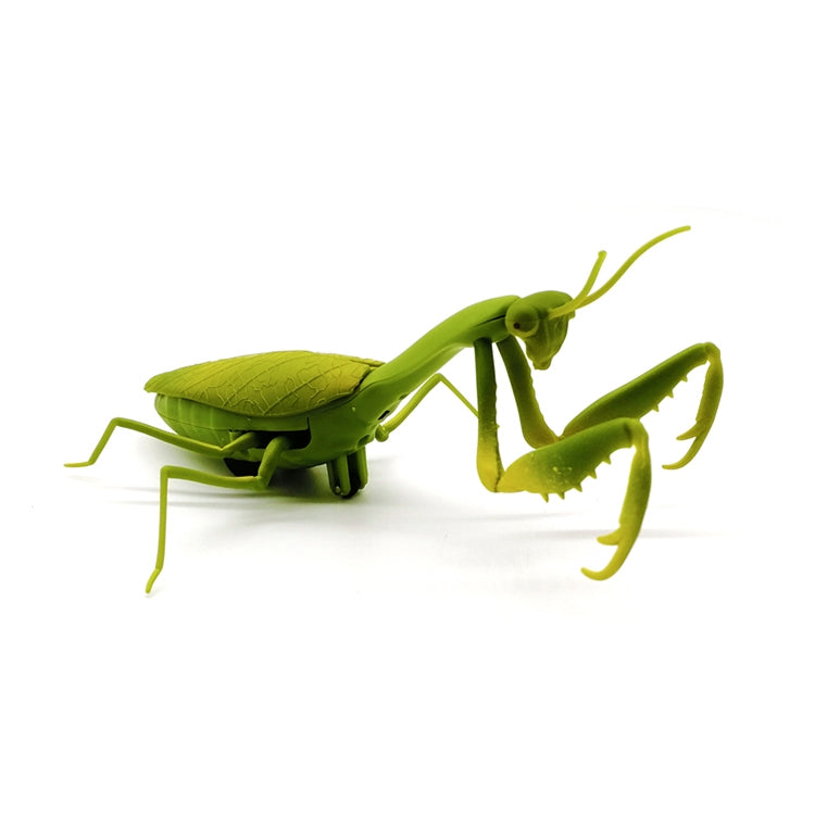 6661 Infrared Sensor Remote Control Simulated Praying Mantis Creative Children Electric Tricky Toy Model, Praying Mantis