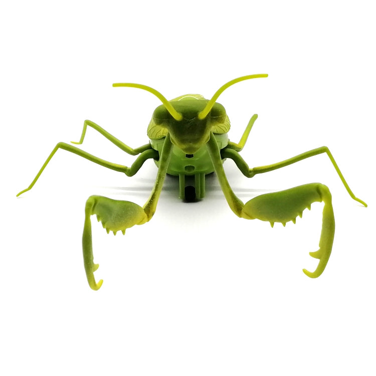 6661 Infrared Sensor Remote Control Simulated Praying Mantis Creative Children Electric Tricky Toy Model, Praying Mantis