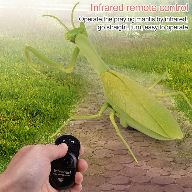 6661 Infrared Sensor Remote Control Simulated Praying Mantis Creative Children Electric Tricky Toy Model, Praying Mantis