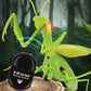 6661 Infrared Sensor Remote Control Simulated Praying Mantis Creative Children Electric Tricky Toy Model, Praying Mantis