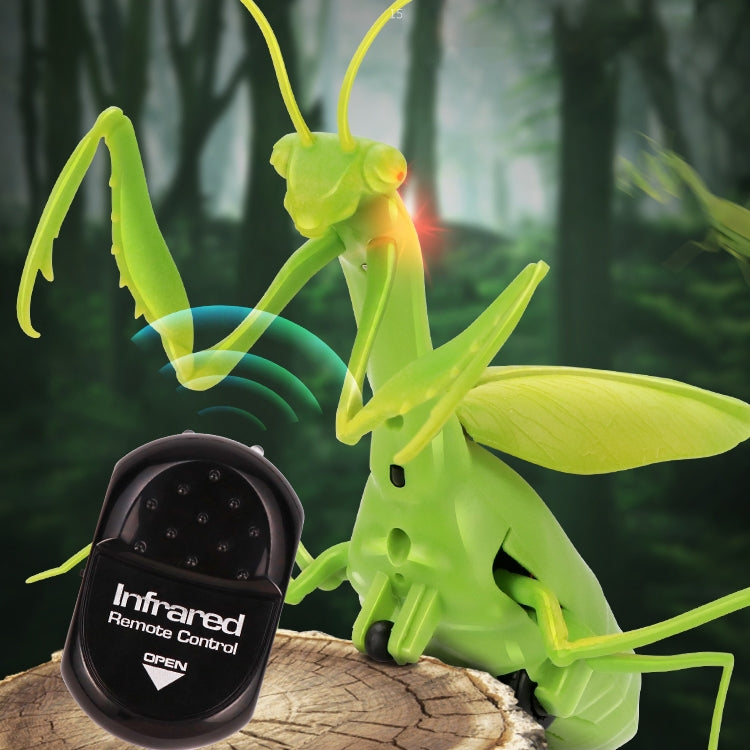 6661 Infrared Sensor Remote Control Simulated Praying Mantis Creative Children Electric Tricky Toy Model, Praying Mantis